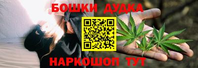 ПСИЛОЦИБИНОВЫЕ ГРИБЫ Новокубанск